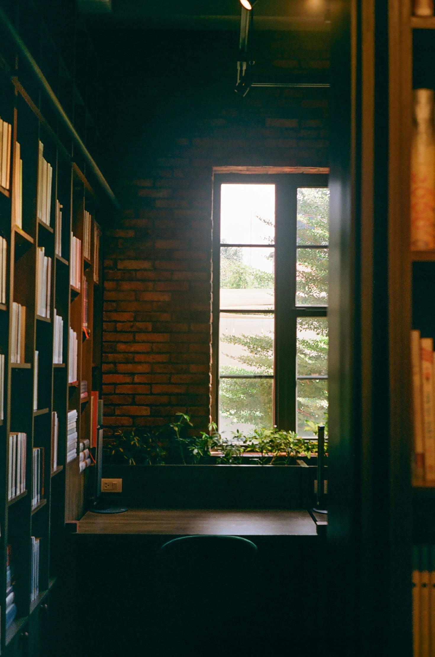 Finding Clarity Through the Art of Journaling
